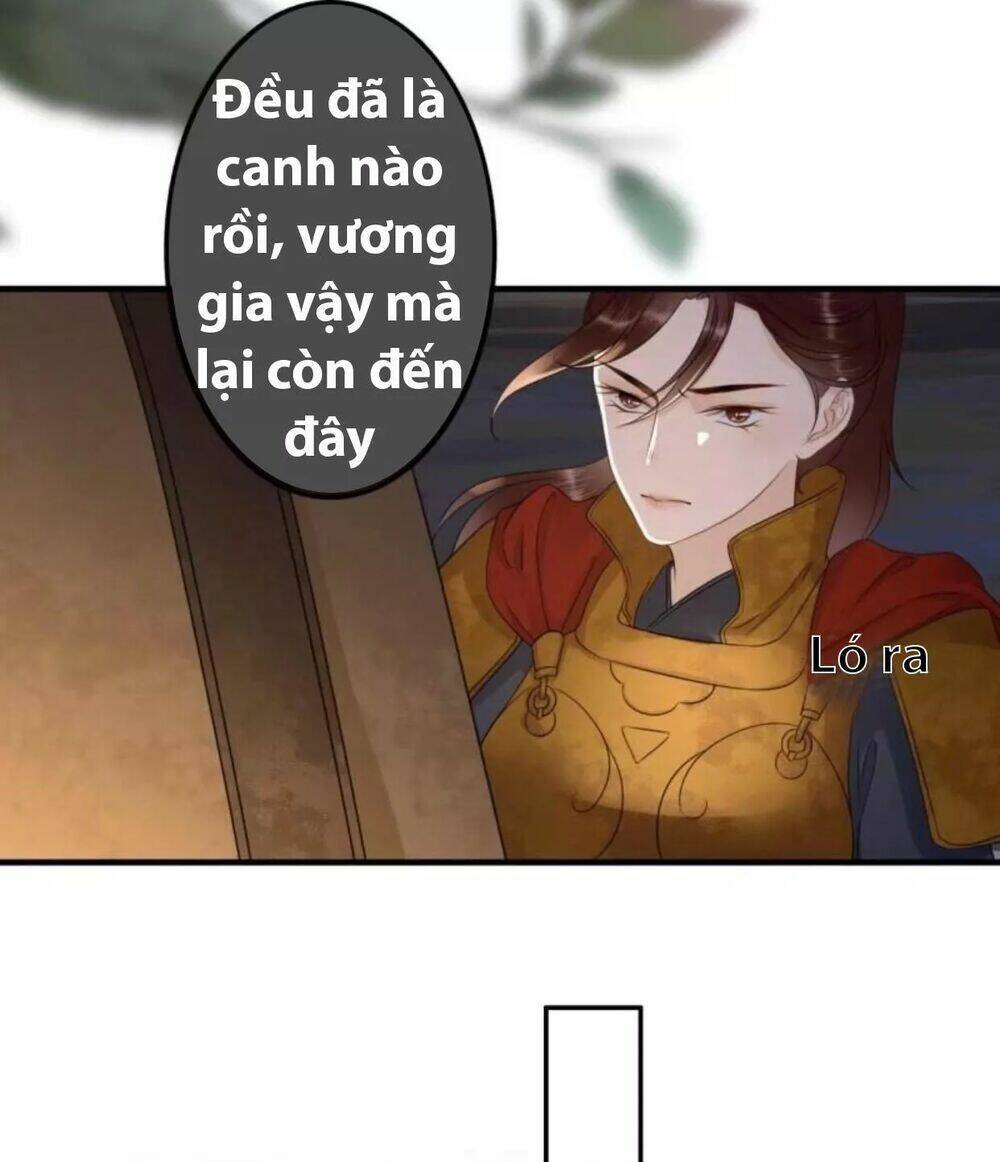 sủng phi của vương chapter 91 3