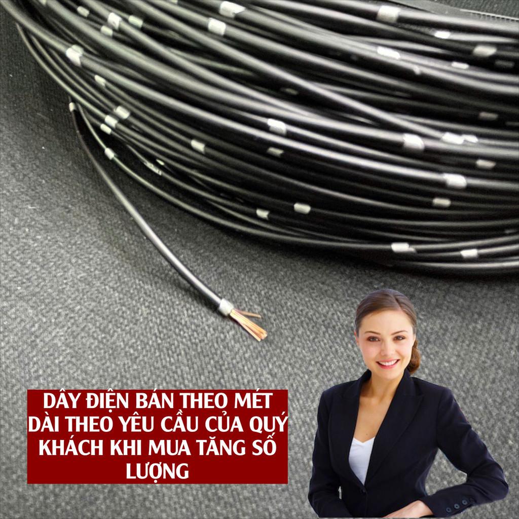 Dây Điện Ô Tô 1 Mét - Tiết Diện 0.85mm², Tiêu Chuẩn Nhật Bản Dành Cho Hệ Thống Âm Thanh - 1 mét 0.85mm2