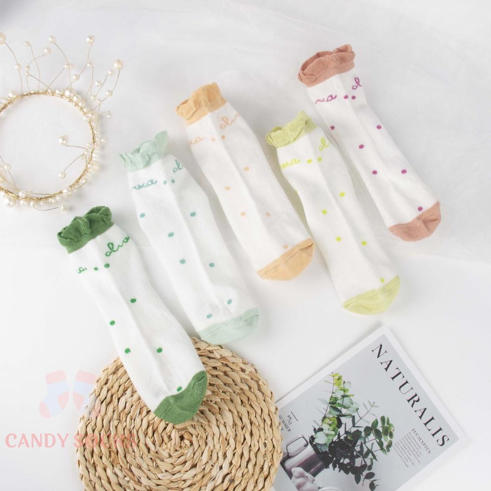 Tất nữ vớ nữ cổ trung, Set 5 đôi tất nữ phong cách Hàn Quốc, co dãn 4 chiều, chất liệu cotton Hàn cao cấp TN-162