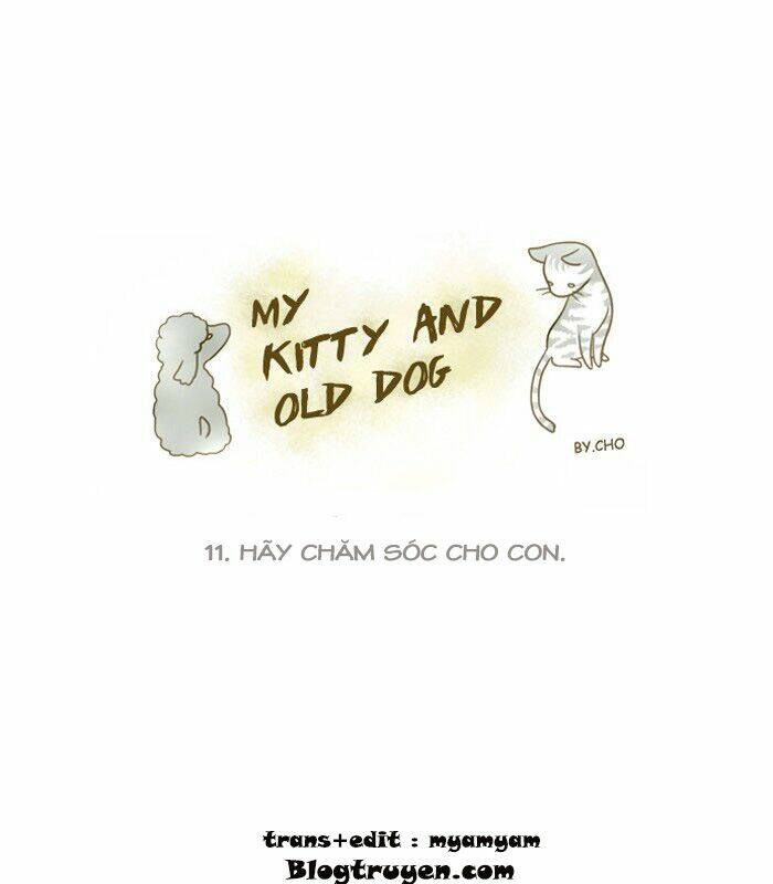 my kitty and old dog chapter 11 2