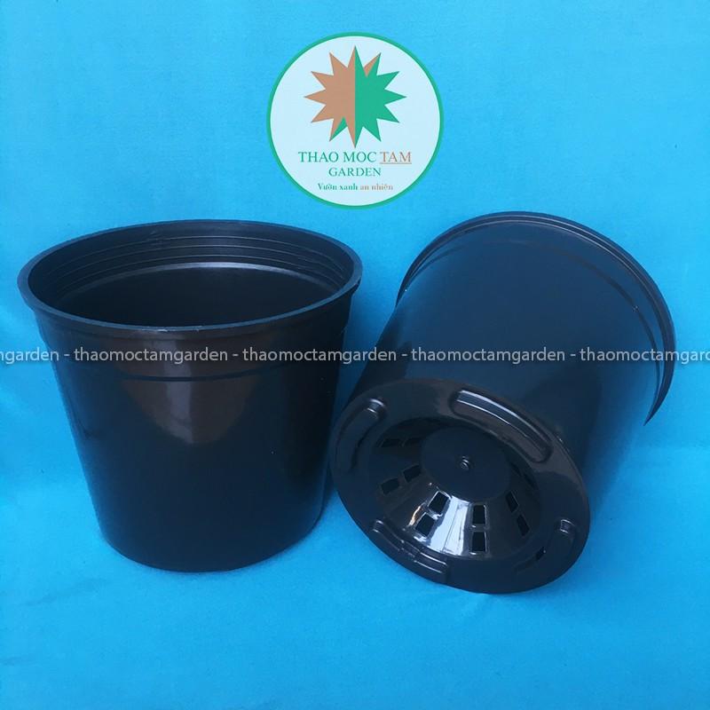 10c Chậu nhựa cứng 22x20cm – Chậu nhựa cứng, dày thích hơp trồng hoa hồng, cây hoa, cây kiểng