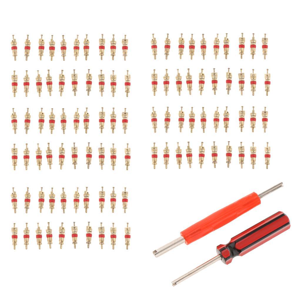 102Pcs Tire Valve Stem Core Part Dual /Single Head Valve Core Remover Set
