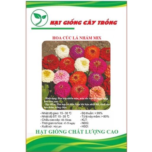 Hạt Giống Hoa Cúc Lá Nhám Nhiều Màu CT392 - Gói 50 hạt
