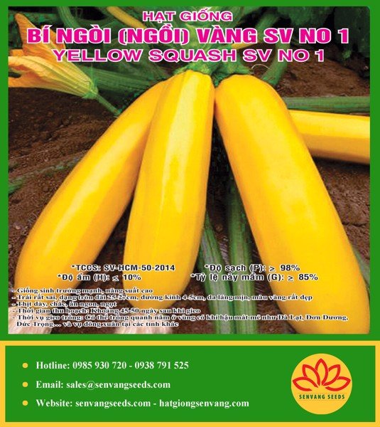 Hạt Giống Bí Ngòi Vàng Gói 2gram Sen Vàng