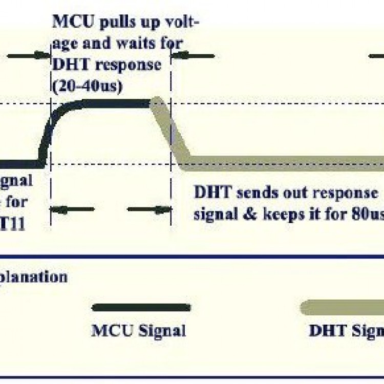 Module Cảm Biến Nhiệt Độ - Độ Ẩm DHT11