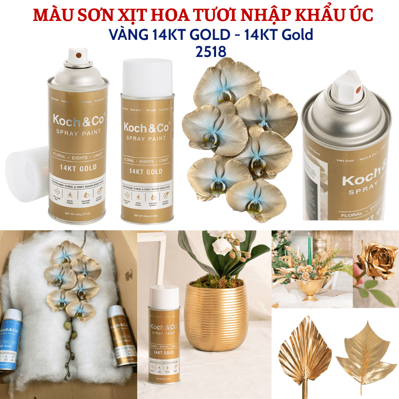 Sơn Xịt Hoa Tươi Màu Vàng Gold 14KT (Vàng của 9999) của Úc hiệu Koch &amp; Co giúp nhuộm phung sớnaÁnh Vàng sang trọng và vòi phun siêu mịn, khô nhanh, mùi thơm dịu nhẹ
