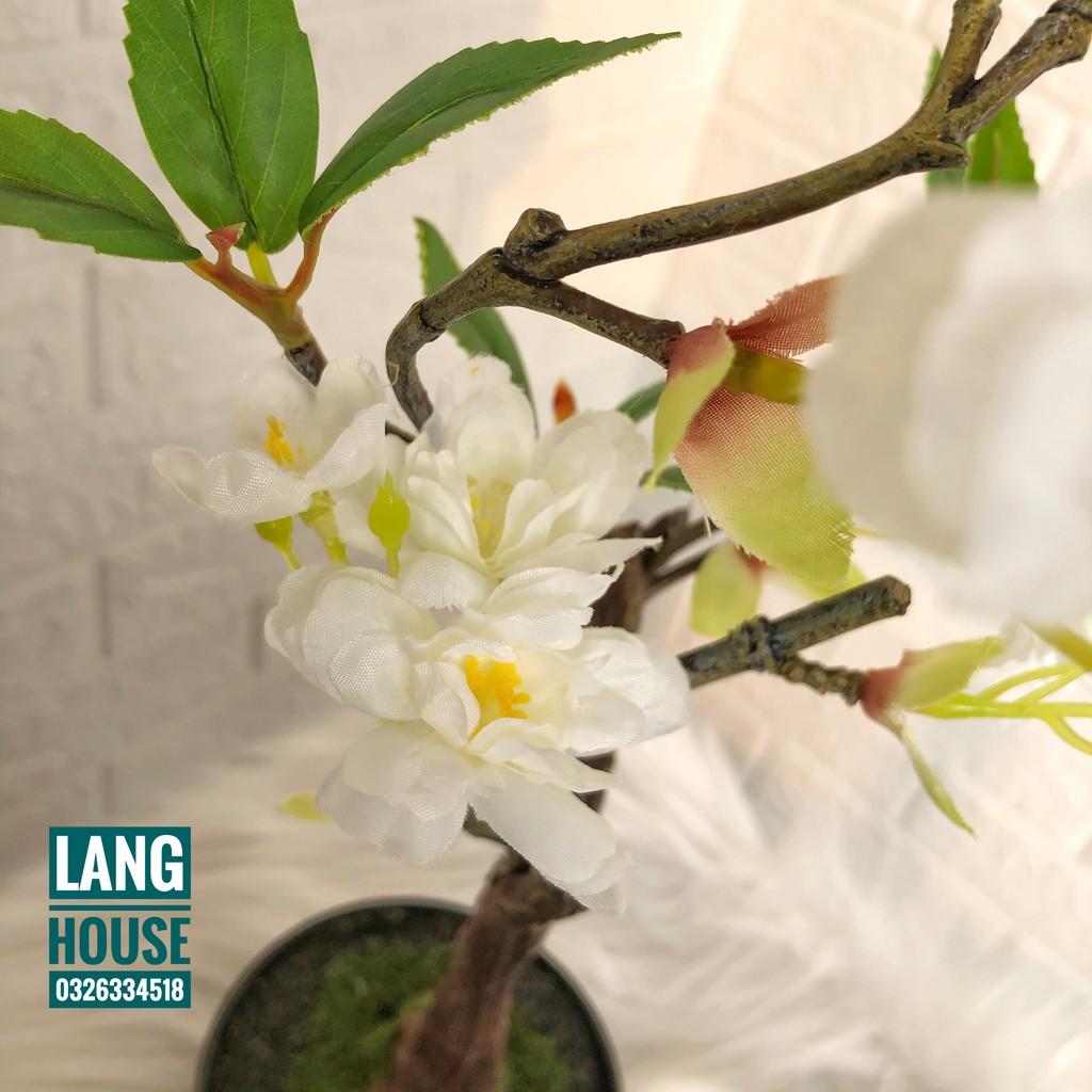 Hoa Giả Hoa Lụa - CHẬU HOA ĐÀO GIẢ CAO 40CM