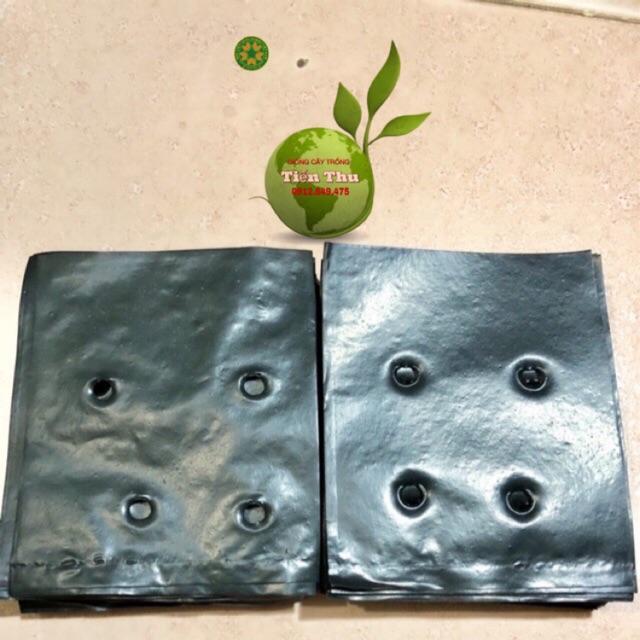 TÚI BẦU ƯƠM CÂY GIỐNG 1kg
