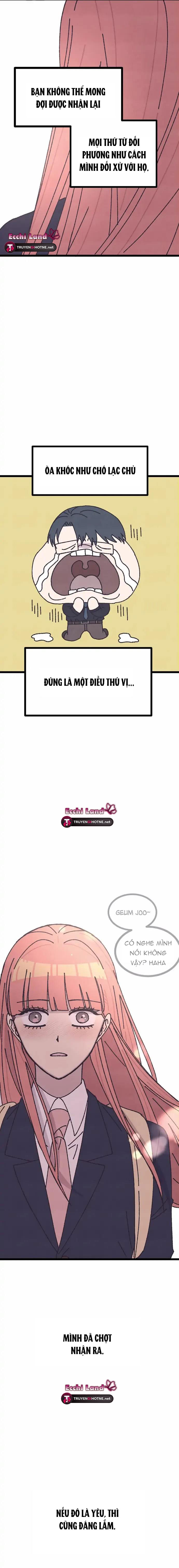 quy luật màu hồng tồi tệ chapter 1.1 11