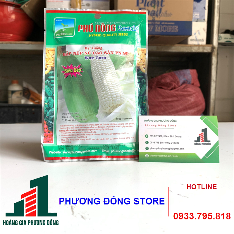 Combo 5-10 gói hạt giống Bắp Nếp Nù phát triển mạnh , kháng bệnh tốt