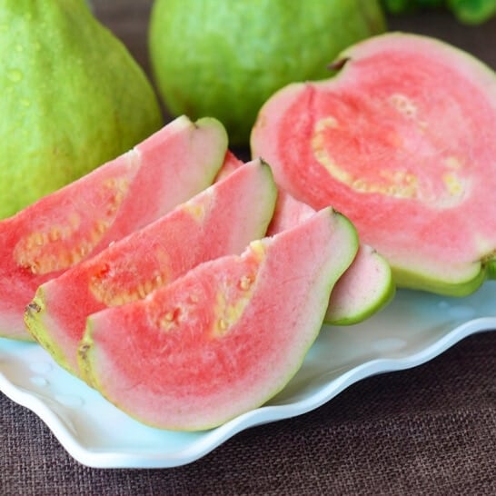 Cây Giống Ổi Lê Ruột Đỏ