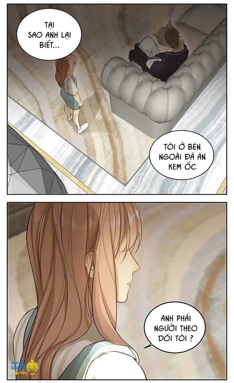 cứu mạng ! loài mèo thống trị thế giới rồi ! chapter 13 13