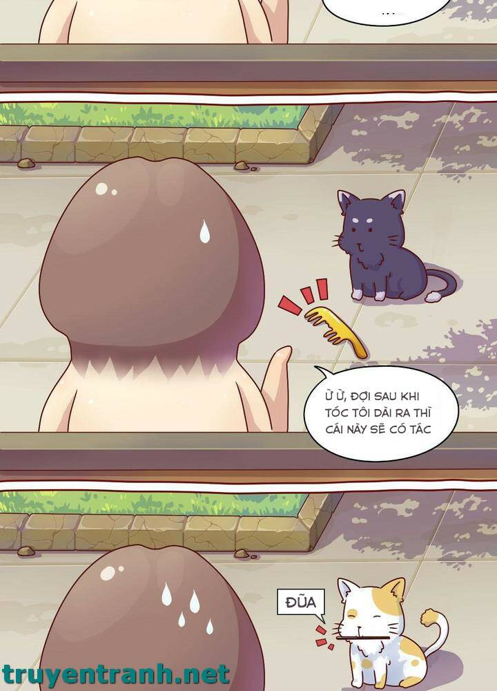 cây nấm kì khả chapter 1 4