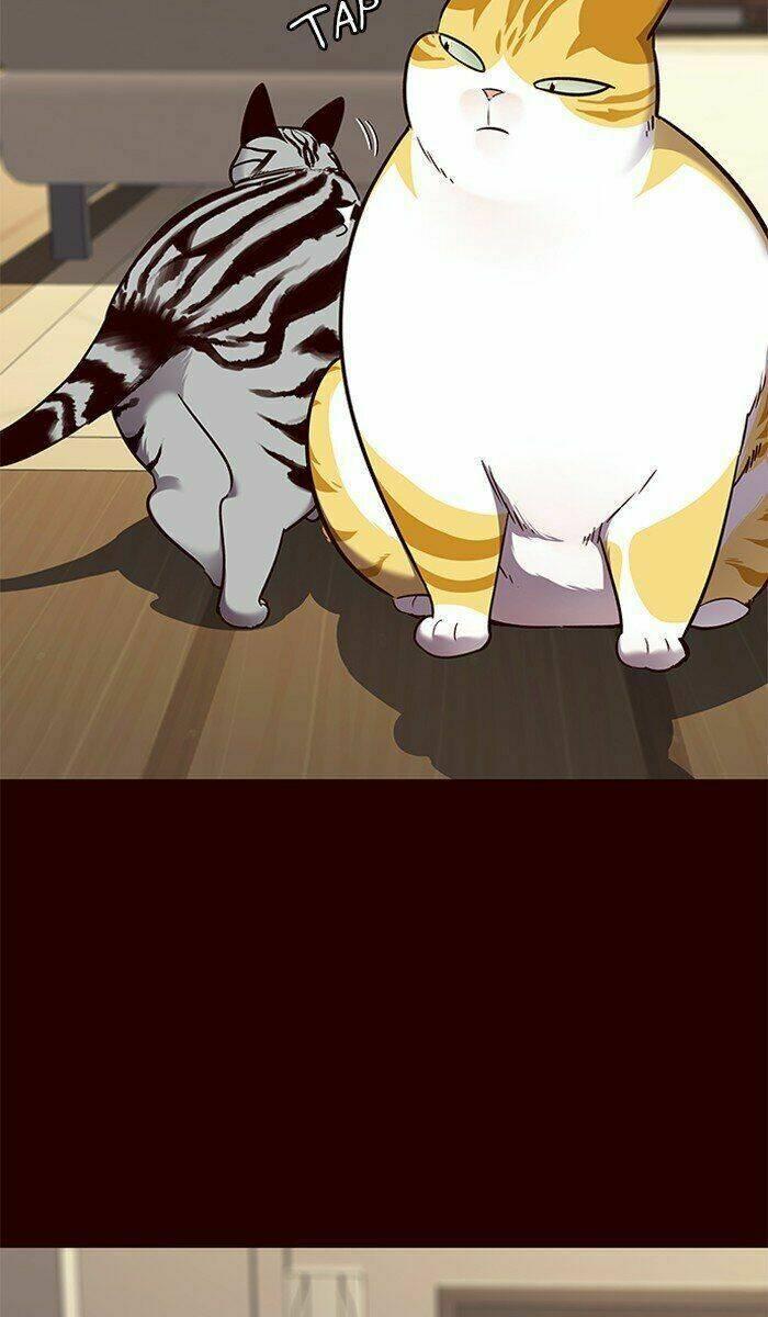 biến thân thành mèo chapter 67 44