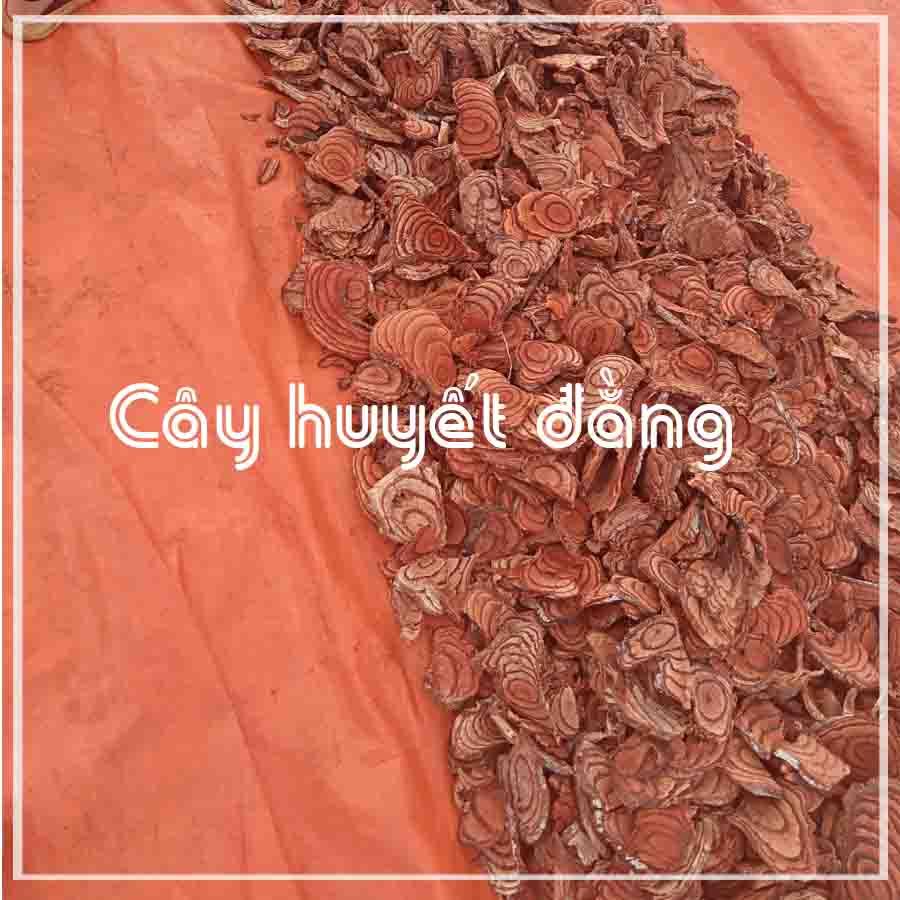 Cây Kê Huyết Đằng (Huyết Rồng) khô 1kg