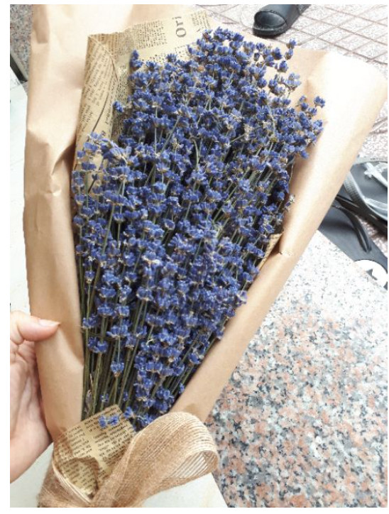 Bó hoa khô hoa lavender 130g  tặng kèm túi thơm P01