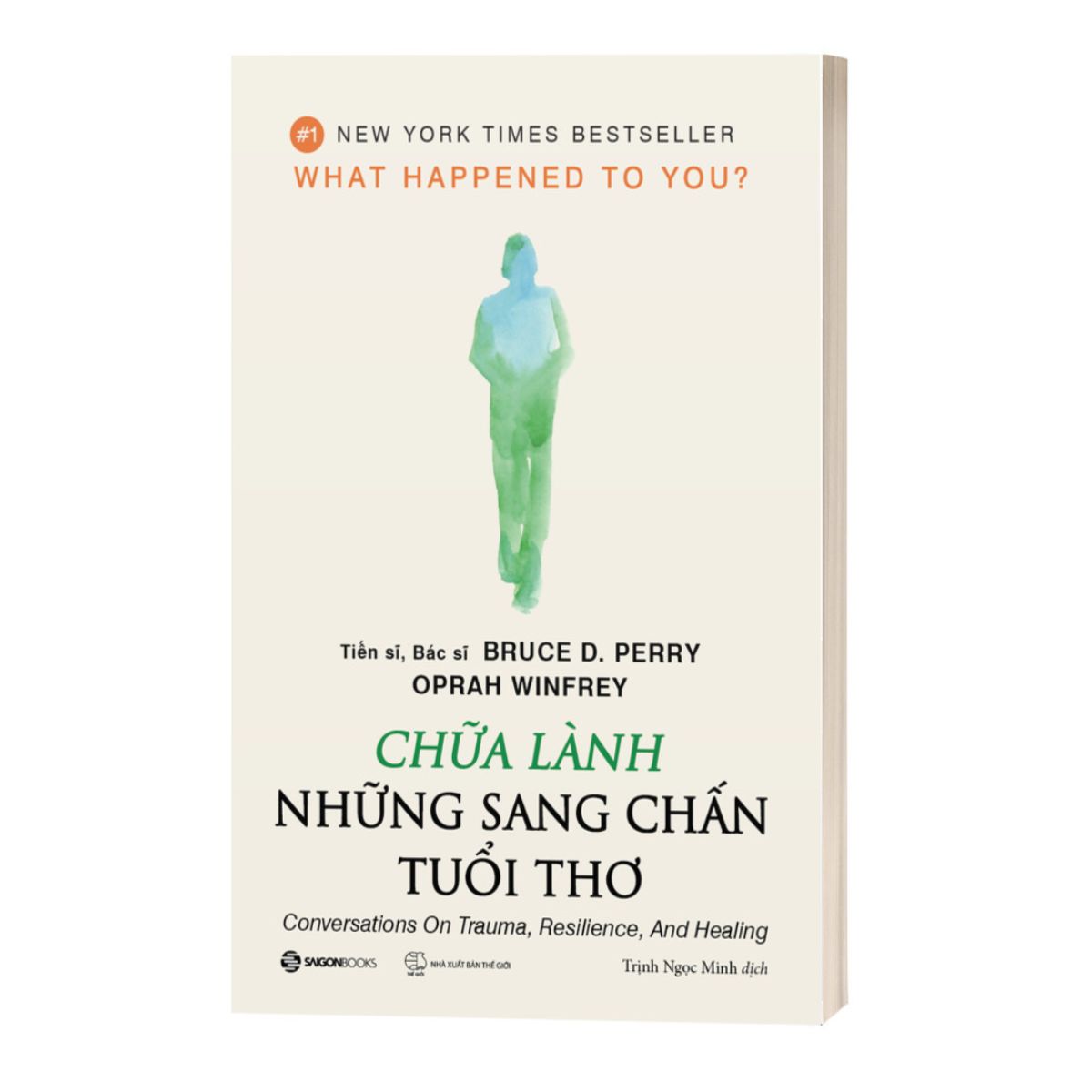 Chữa Lành Những Sang Chấn Tuổi Thơ