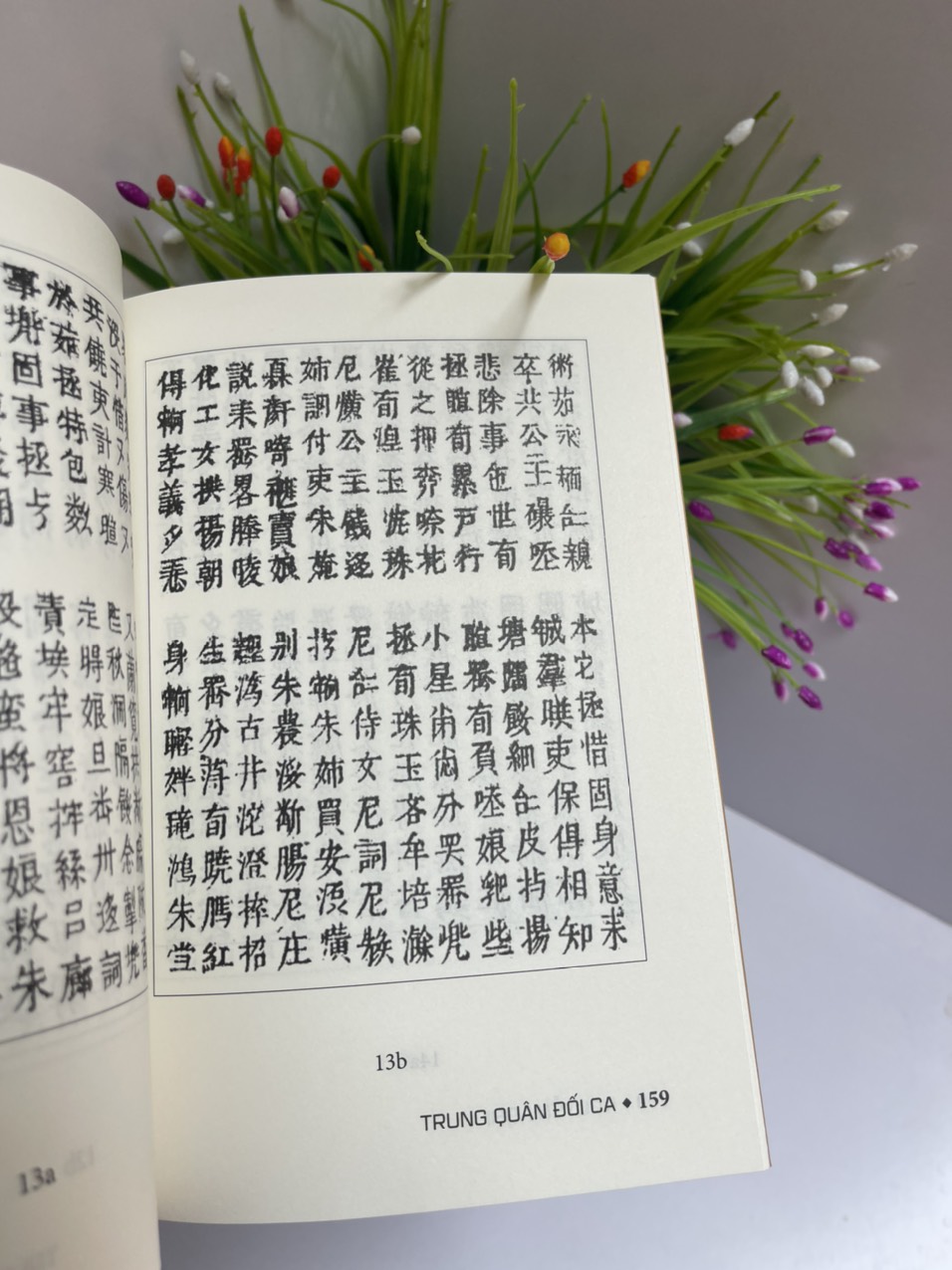 TRUNG QUÂN ĐỐI CA (Truyện Nôm) – Nguyễn Nghi – Trung Tâm Nghiên Cứu Quốc Học –NXB Văn Học