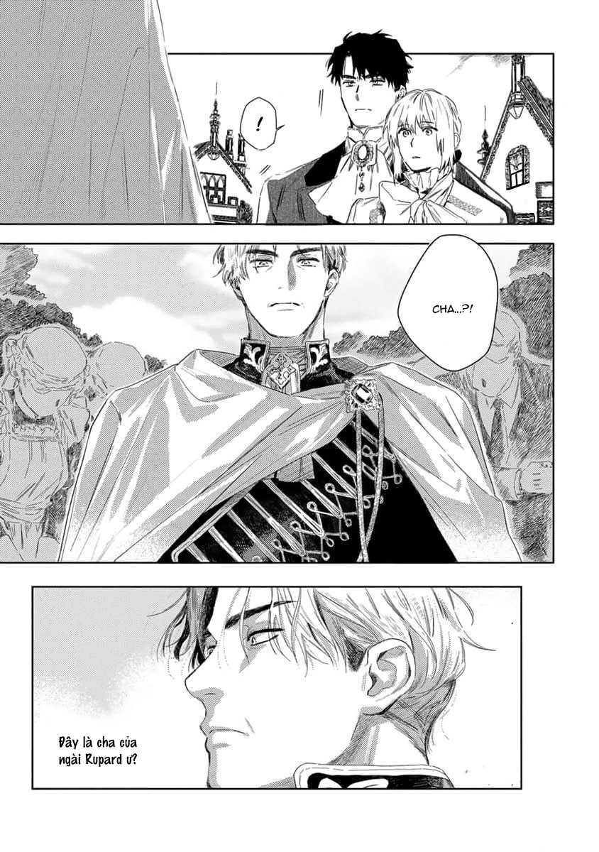 tình yêu hoa hồng dại chapter 3 13