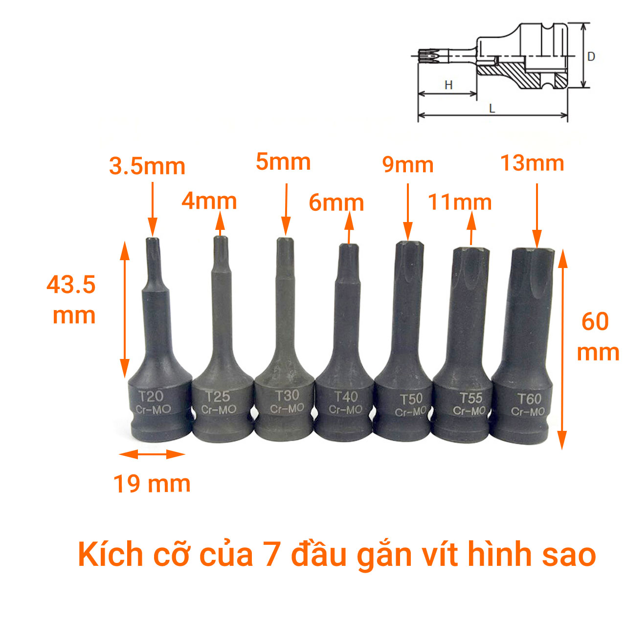 Đầu vặn vít hình sao gắn súng bắn ốc 3/8&quot; thép Cr-MO T20 - T60