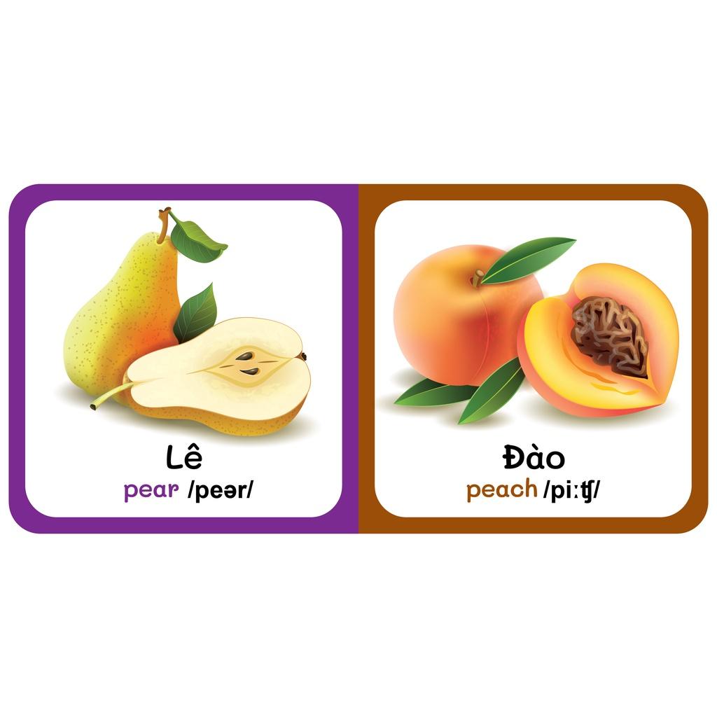 Sách - Baby'S First Picture Dictionary - Từ Điển Bằng Hình Đầu Tiên Của Bé - Trái Cây - Fruits (Bìa Cứng)