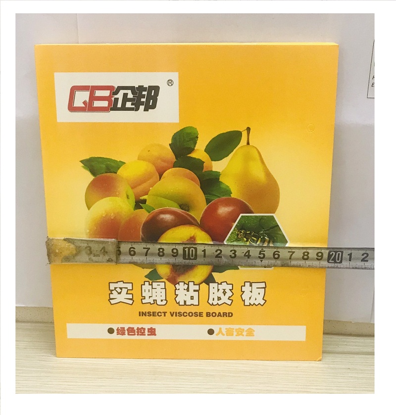 10 Miếng Dính Bẫy Côn Trùng , Bẫy Ruồi Vàng 22x40cm