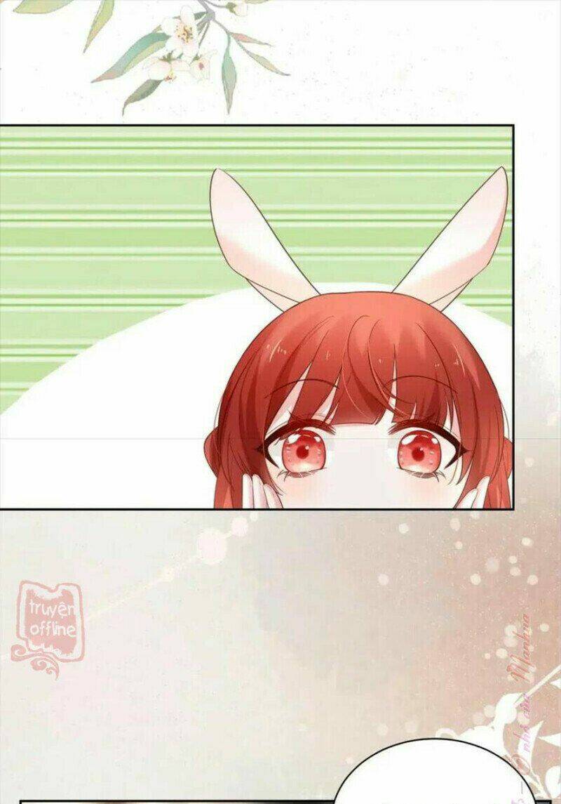 hắc hóa nam chính trực tuyến nuôi thỏ chapter 54 18