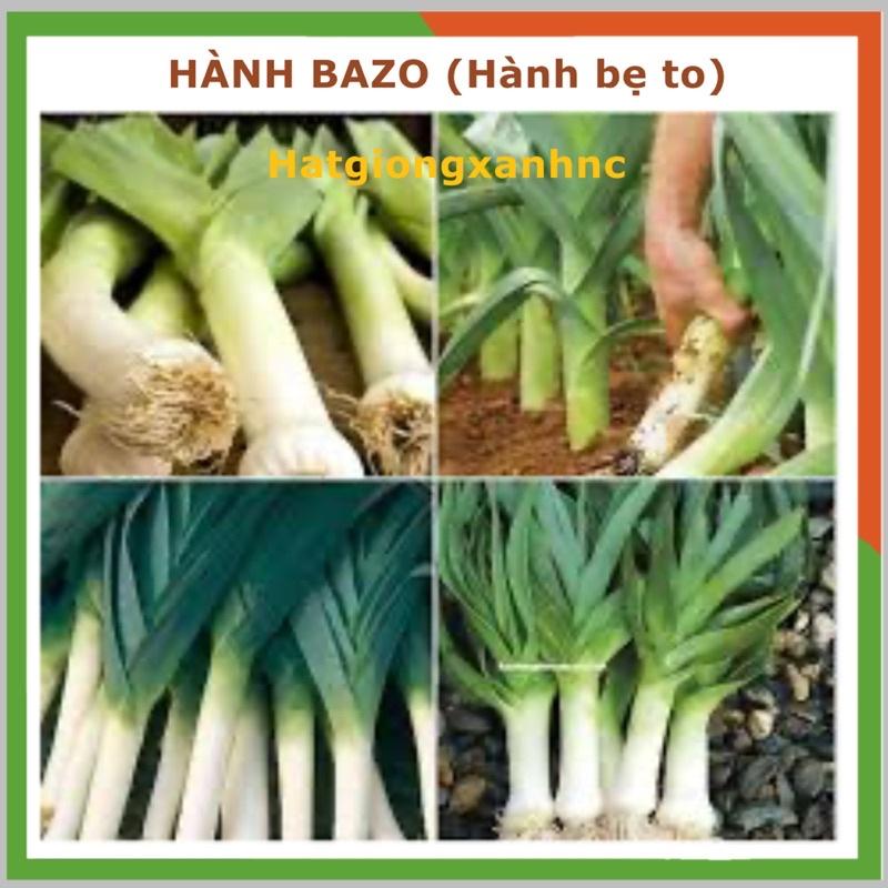 Hạt giống hành bazo lá cọng trắng khổng lồ Egrow, gói 5gr