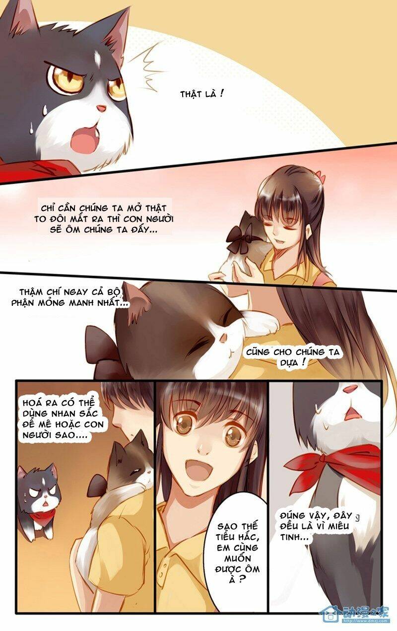 hằng mộng nam thần chapter 22 16