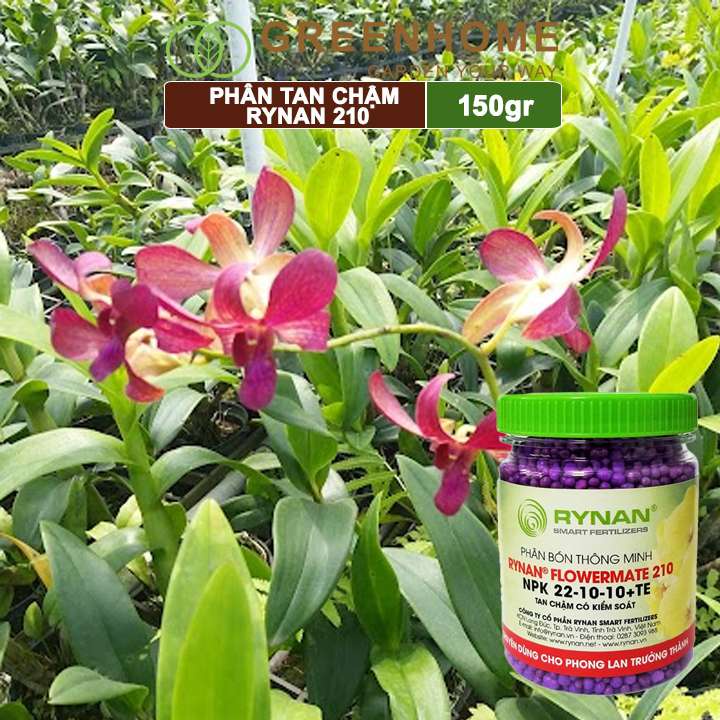 Phân tan chậm Rynan 210, chai 150gr, kích rễ, chồi, dùng cho phong lan trưởng thành |Greenhome