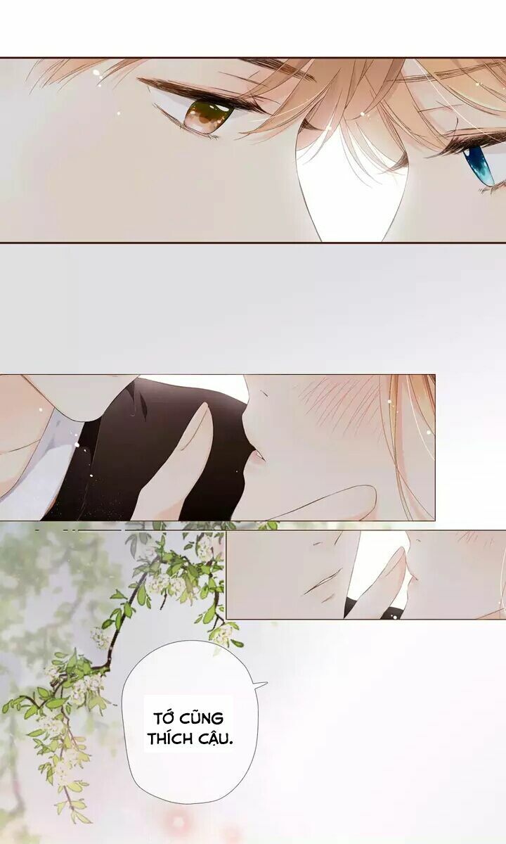 Tình yêu là màu hoa anh thảo chapter 30.1 11