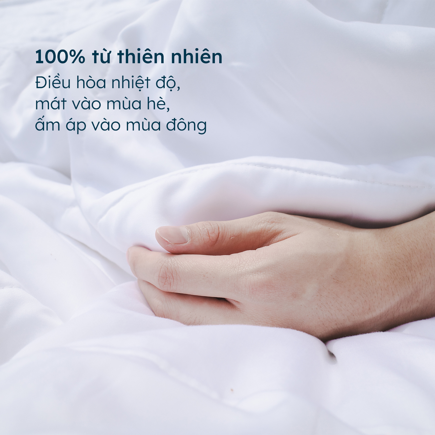 Chăn Bạch Đàn - Eucalytus Duvet (EDUVET) Ru9 100% Từ Thiên Nhiên, Thoáng Mát, Khả Năng Kháng Khuẩn