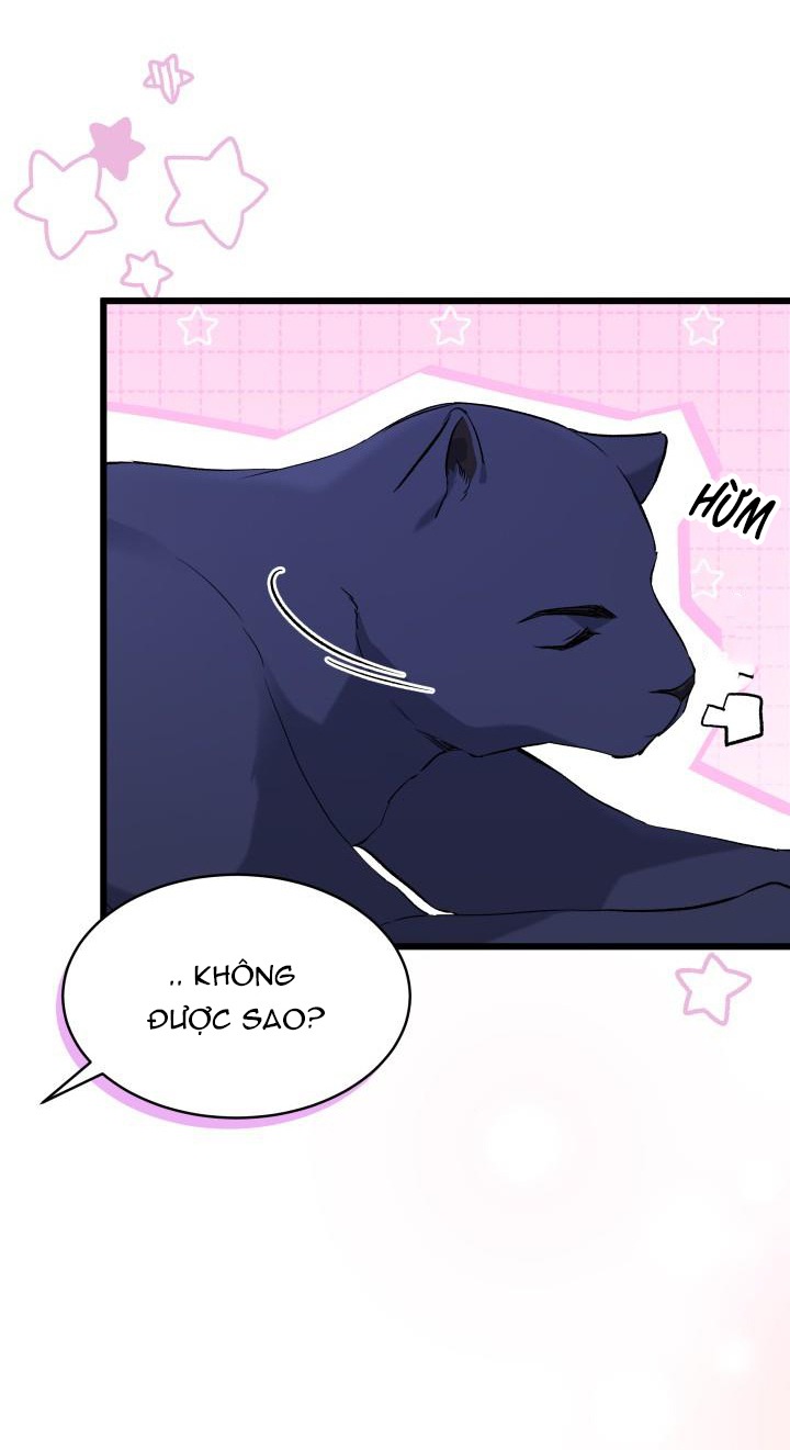 mối liên kết giữa báo đen và bé thỏ chapter 54 31