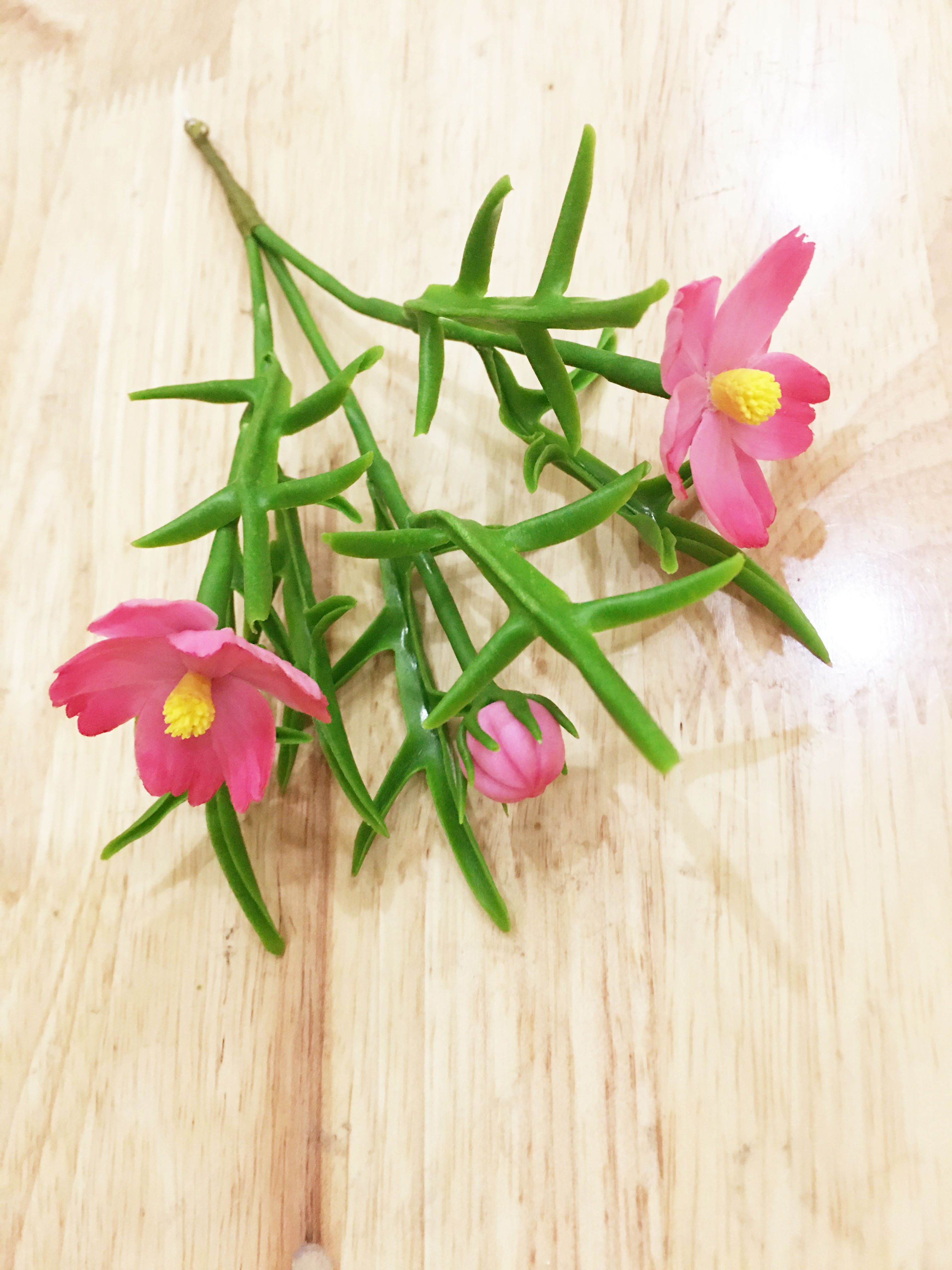 Chậu hoa đất sét mini- Bụi sao nhái trong cốc - Quà tặng trang trí handmade