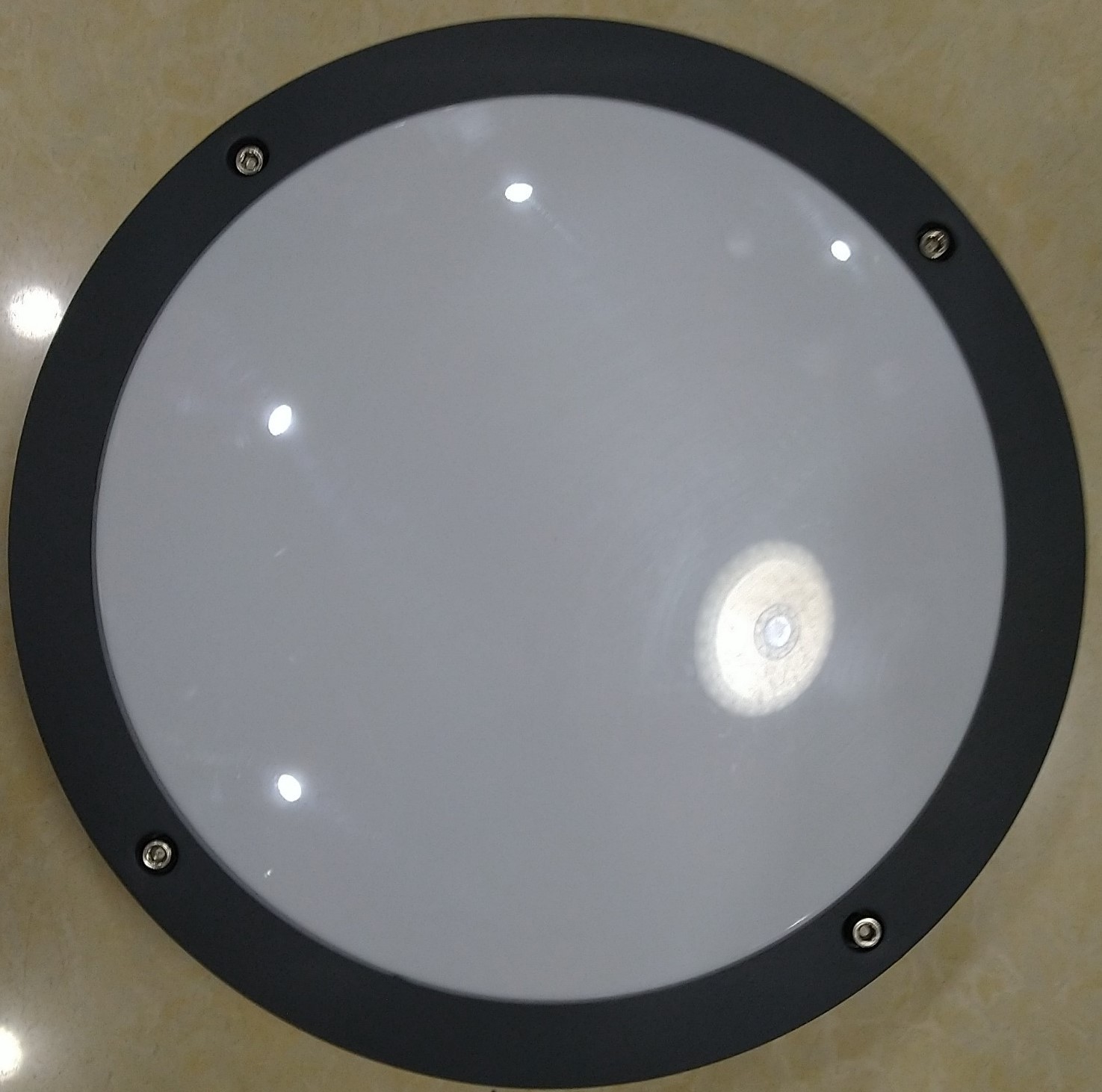 Đèn LED gắn tường/ốp trần ngoại thất DSLUX - 1021-LED