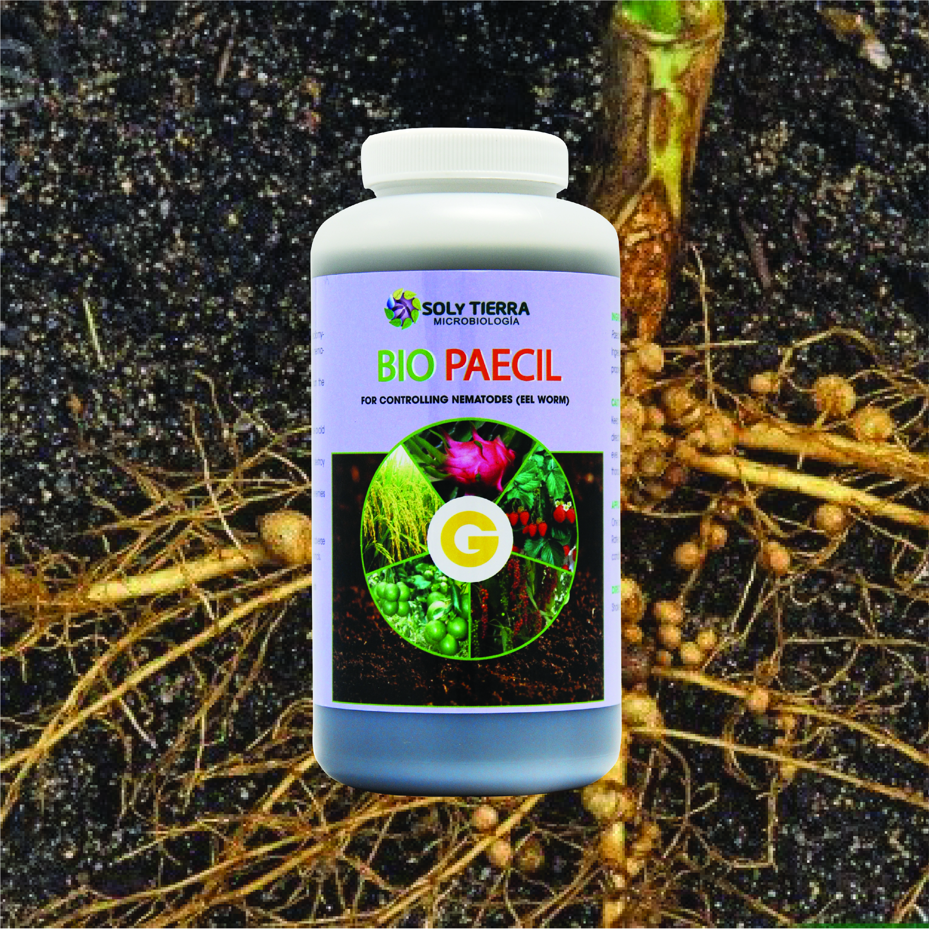 Vi sinh đặc trị tuyến trùng hại rễ Bio Paecil - NSX Sun &amp; Earth Microbiology  - Chai 1 quarter (≈ 1 lít)