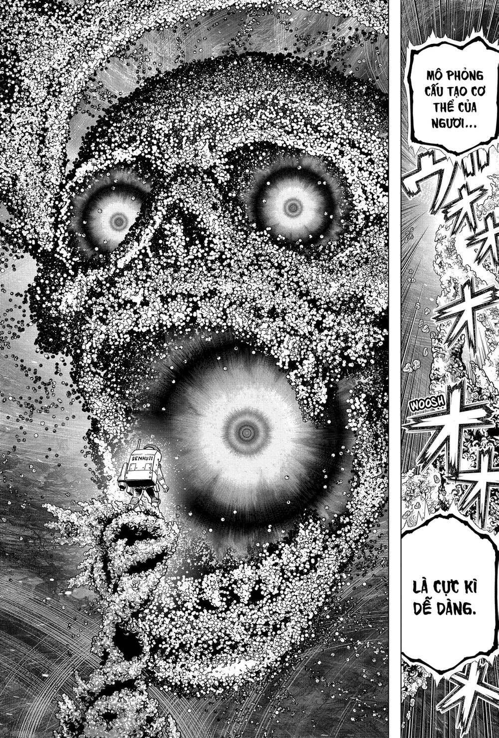 dr.stone - hồi sinh thế giới chapter 231 5