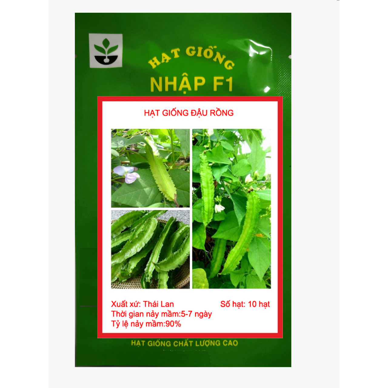 10 hạt giống quả đậu rồng