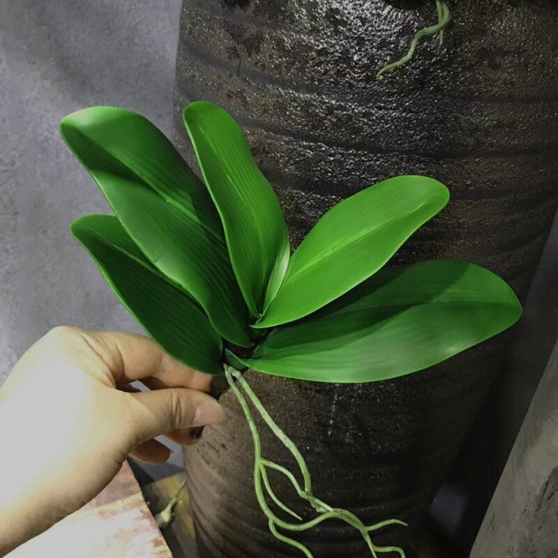 Cây Lan Giả Có Rễ, màu xanh hàng loại 1 trang trí, decor nhà, cắm để bàn, chụp ảnh.