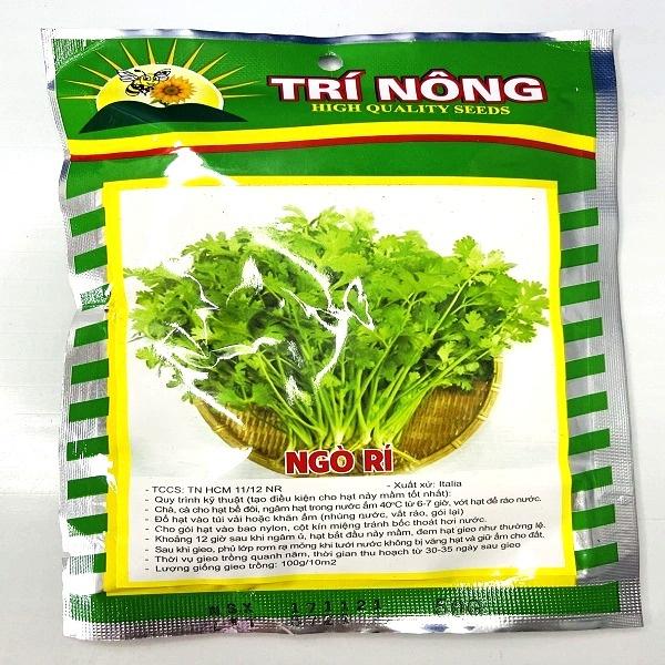 Hạt giống cây rau ngò rí
