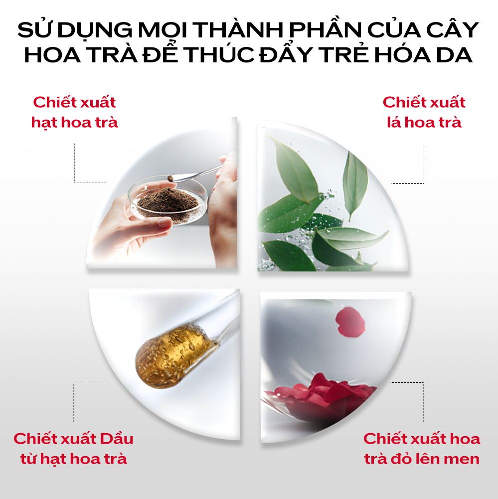 Tinh chất dưỡng da Shiseido Ultimune Power Infusing 4.0 Serum 50ml