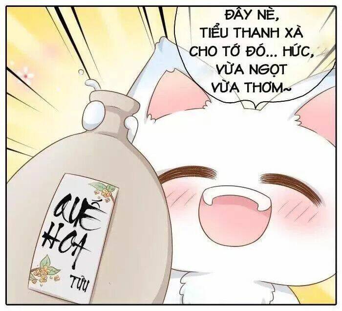 tiểu hồ ly vs tiểu hóa thượng chapter 34 7