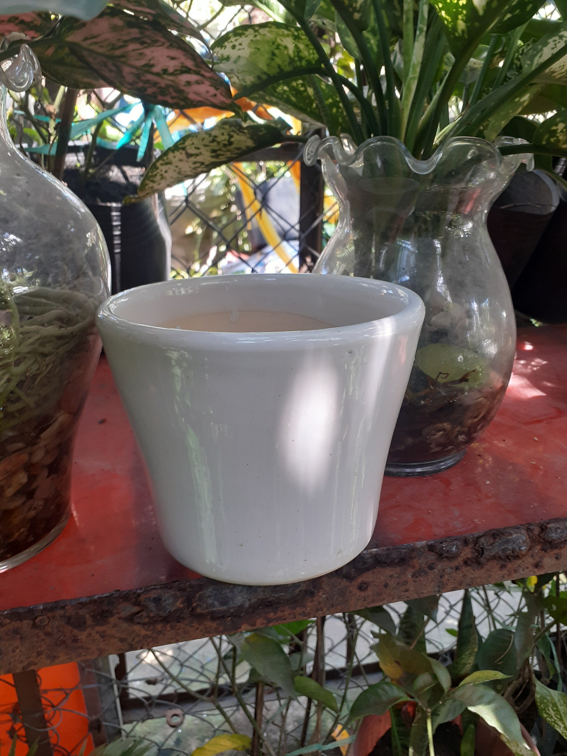 Chậu đất nung TRÁNG MEN MÀU TRẮNG.