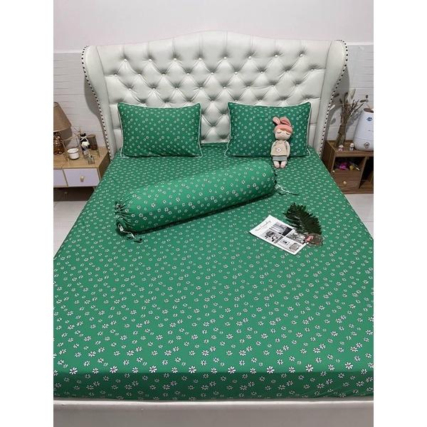 Drap thun siêu lạnh