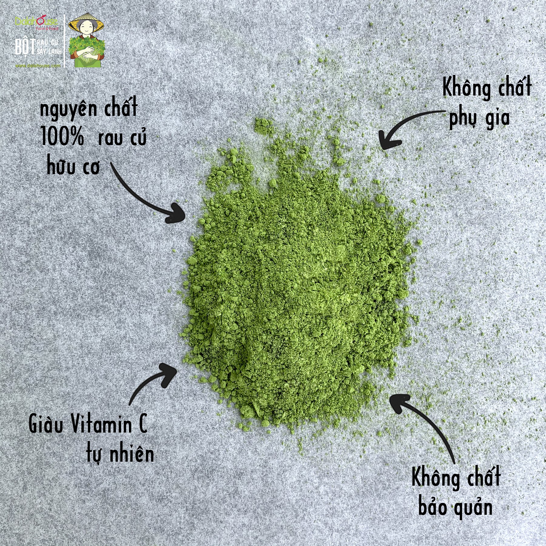 Bột Cần Tây Dalahouse - Công Nghệ Sấy Lạnh Nhật Giữ 90% Dinh Dưỡng Rau Tươi Theo Tiêu Chuẩn FDA Hoa Kỳ- 100% Fresh Natural Celery Powder (NPP Anni)