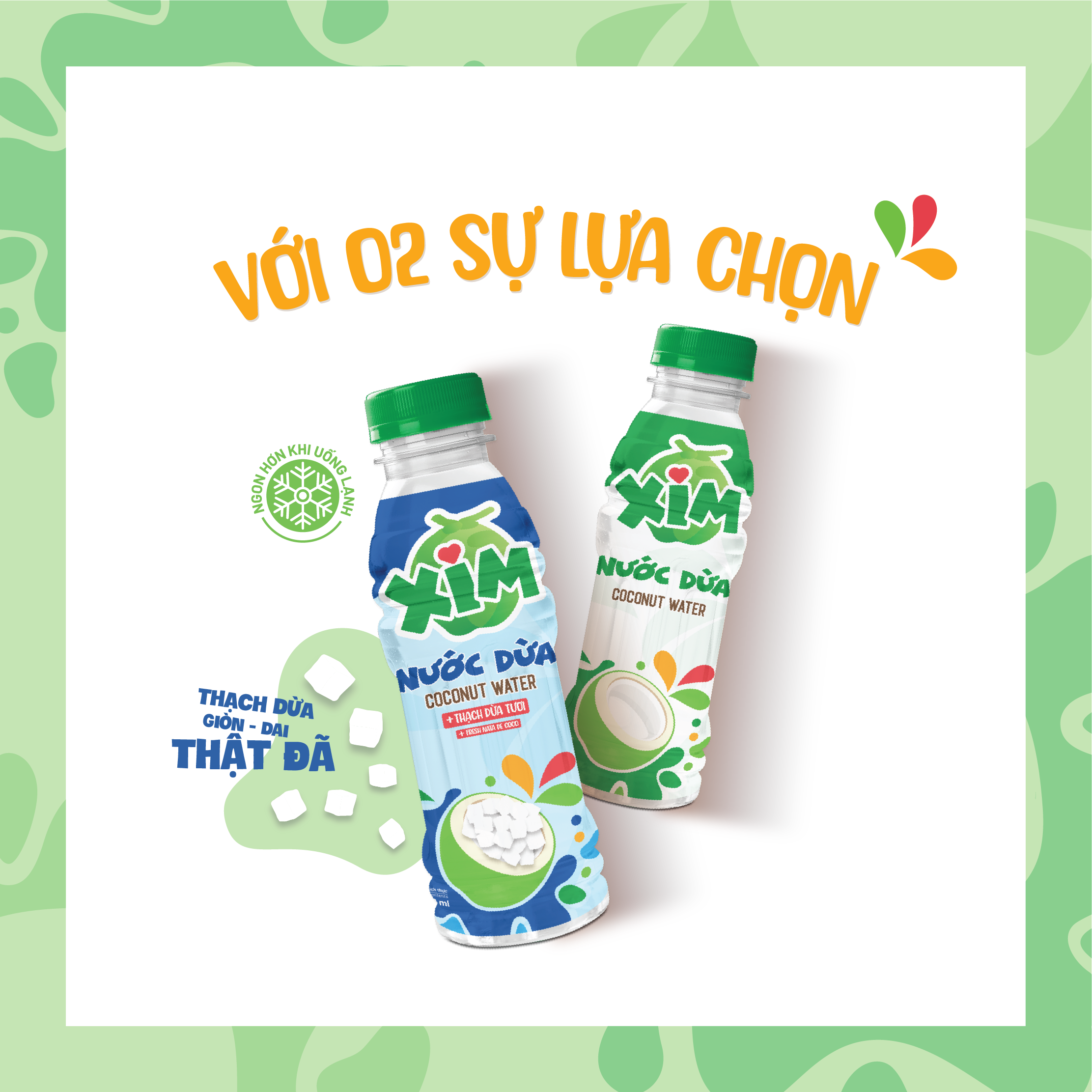 Thùng 24 Chai Nước Dừa Xim Có Thạch Chai PET 350ml