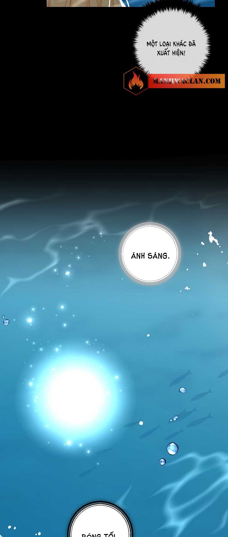 tôi là tiểu thư của gia đình này chapter 148 13