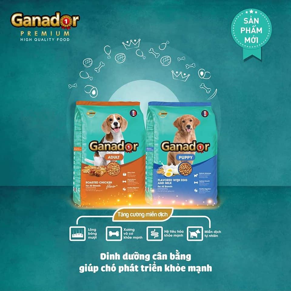 Thức ăn cho chó trưởng thành Ganador vị gà nướng - Adult Roasted Chicken Flavor Combo 5 gói 400gr/gói