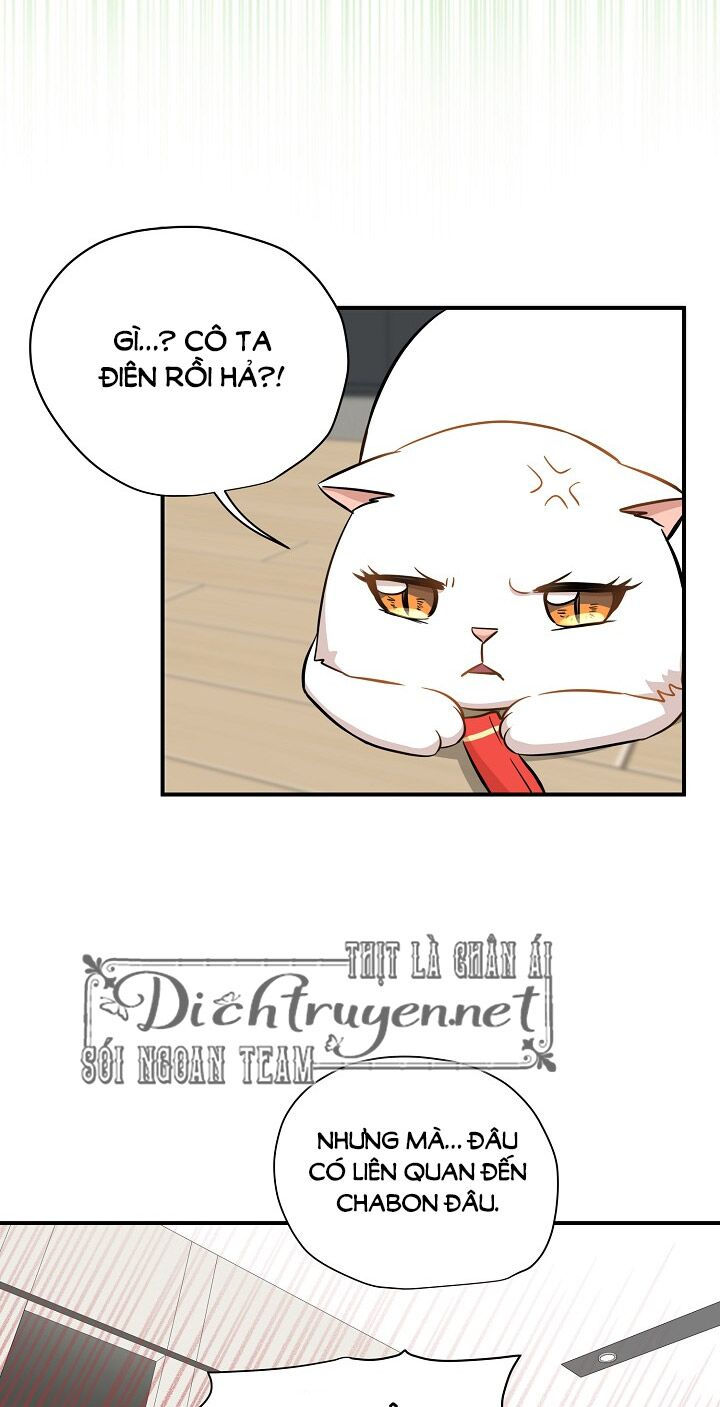 cuộc sống kỳ thú chapter 45 6
