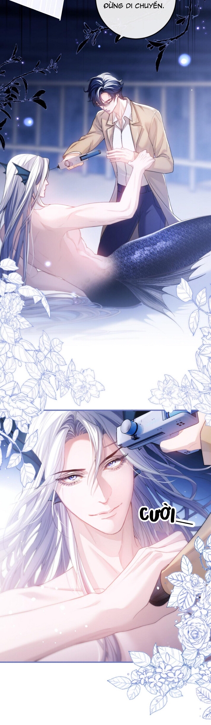 nhân ngư dessaro chapter 4 11